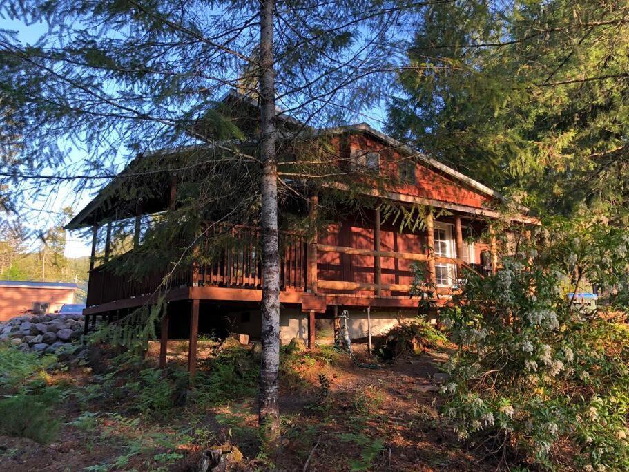 The Cabin In Паквуд Экстерьер фото